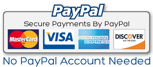 thesis writing service that accepts paypal